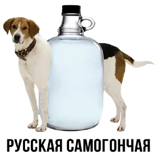 Sticker Больше стиков тут: @stikery4 - 10