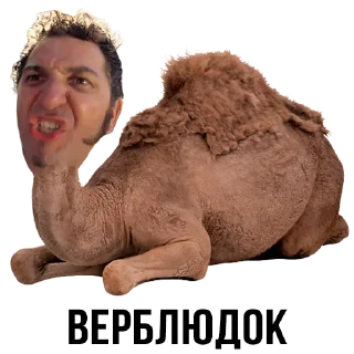 Sticker Больше стиков тут: @stikery4 - 8