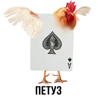 Sticker Больше стиков тут: @stikery4 - 9