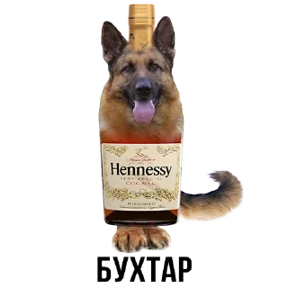 Sticker Больше стиков тут: @stikery4 - 4