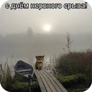 Sticker Больше стиков тут: @stikery4 - 8
