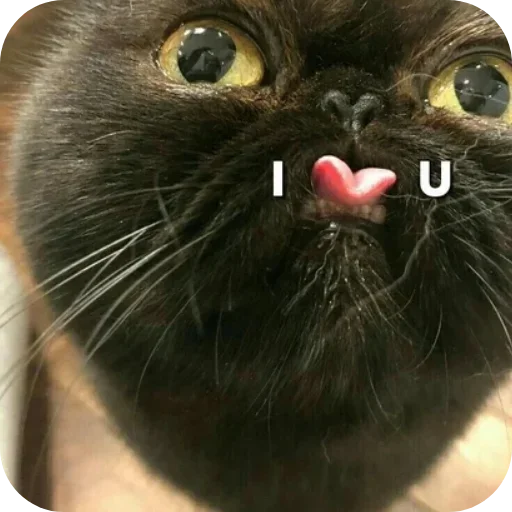 Стикер set_269_by_makestick3_bot - 1