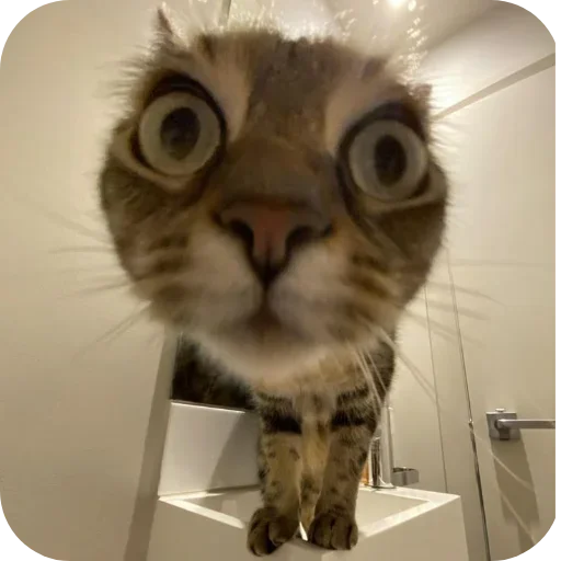 Sticker set_269_by_makestick3_bot - 1