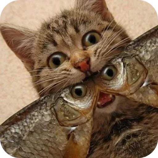 Больше стиков тут: @stikery4 - 