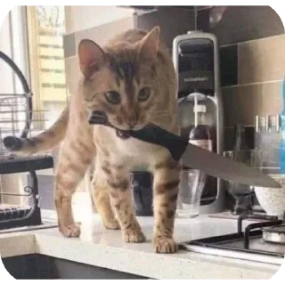 Стикер Больше стиков тут: @stikery4 - 5