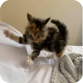 Стикер Больше стиков тут: @stikery4 - 10