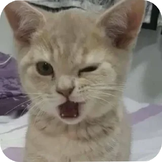 Стикер Больше стиков тут: @stikery4 - 2