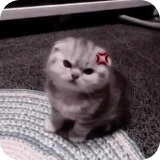 Стикер Больше стиков тут: @stikery4 - 8