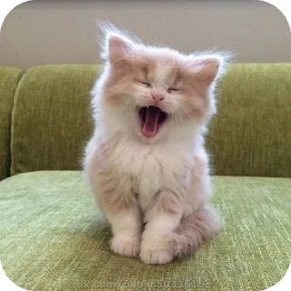 Стикер Больше стиков тут: @stikery4 - 11