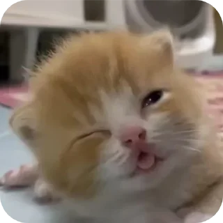 Стикер Больше стиков тут: @stikery4 - 9