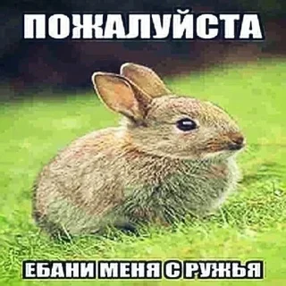 Sticker Больше стиков тут: @stikery4 - 0