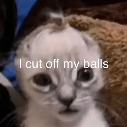 Sticker set_308_by_makestick3_bot - 1