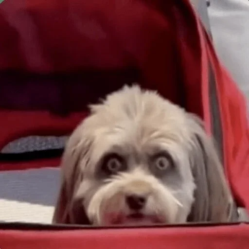 Sticker set_308_by_makestick3_bot - 1