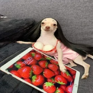 Sticker Больше стиков тут: @stikery4 - 8