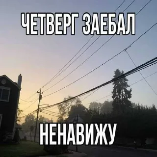 Sticker Больше стиков тут: @stikery4 - 4