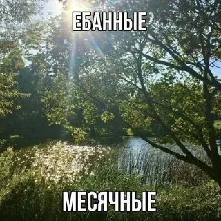 Sticker Больше стиков тут: @stikery4 - 6