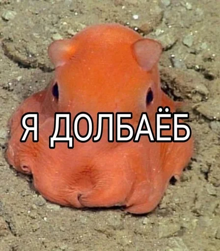 Sticker set_331_by_makestick3_bot - 1