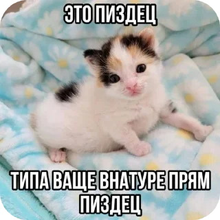 Sticker Больше стиков тут: @stikery4 - 4