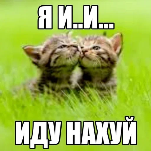 Sticker set_341_by_makestick3_bot - 1