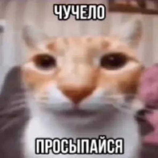 Sticker set_341_by_makestick3_bot - 1