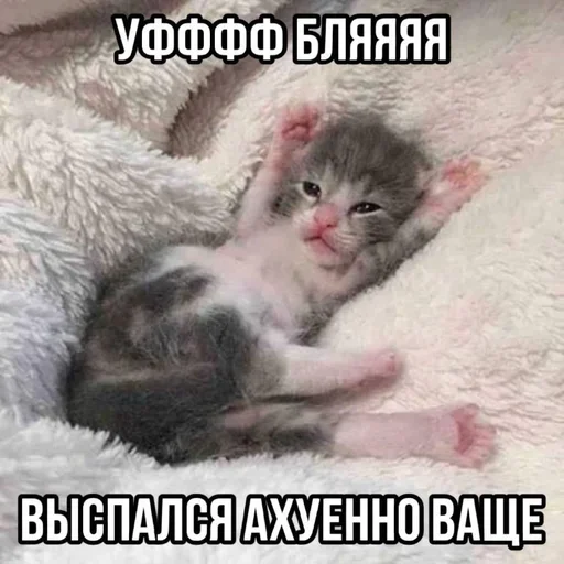 Больше стиков тут: @stikery4 - 