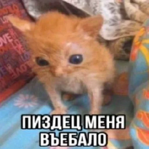 Стикер set_341_by_makestick3_bot - 1