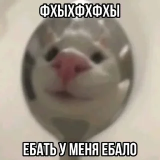 Sticker Больше стиков тут: @stikery4 - 2