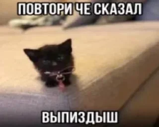 Sticker Больше стиков тут: @stikery4 - 1