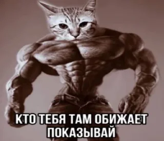 Sticker Больше стиков тут: @stikery4 - 10