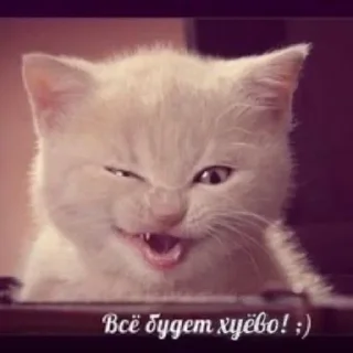 Sticker Больше стиков тут: @stikery4 - 8