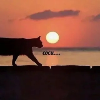 Sticker Больше стиков тут: @stikery4 - 5