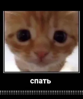 Sticker Больше стиков тут: @stikery4 - 6