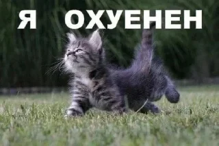 Sticker Больше стиков тут: @stikery4 - 7