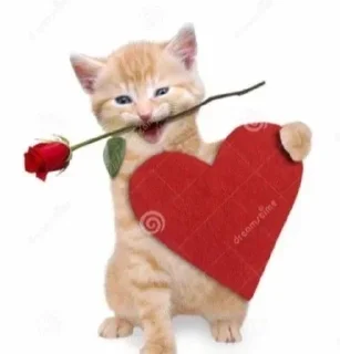 Sticker Больше стиков тут: @stikery4 - 11