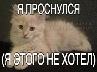 Sticker Больше стиков тут: @stikery4 - 4