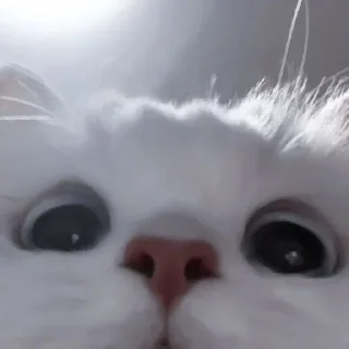 Sticker Больше стиков тут: @stikery4 - 6