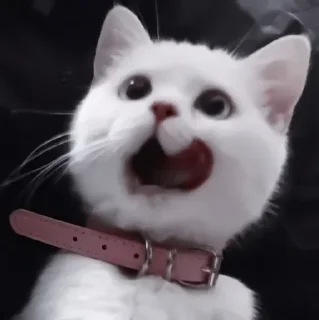 Sticker Больше стиков тут: @stikery4 - 11