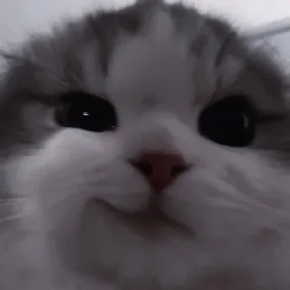 Sticker Больше стиков тут: @stikery4 - 5