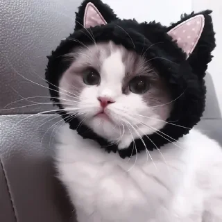 Sticker Больше стиков тут: @stikery4 - 7