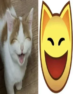 Sticker Больше стиков тут: @stikery4 - 11