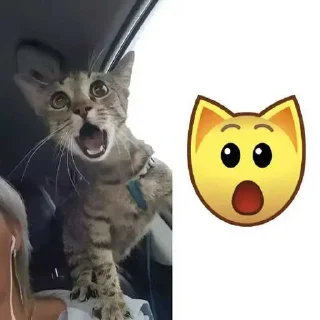 Sticker Больше стиков тут: @stikery4 - 2