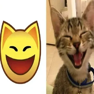 Sticker Больше стиков тут: @stikery4 - 7