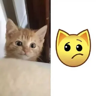 Sticker Больше стиков тут: @stikery4 - 9