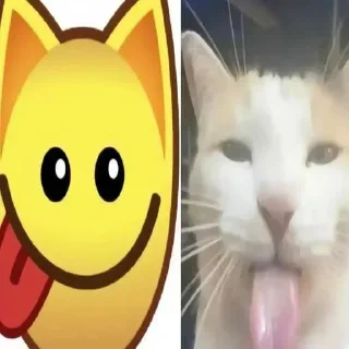 Sticker Больше стиков тут: @stikery4 - 1