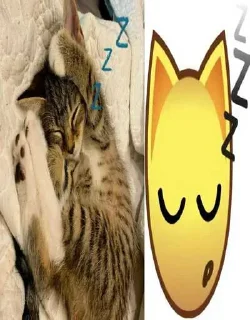 Sticker Больше стиков тут: @stikery4 - 4