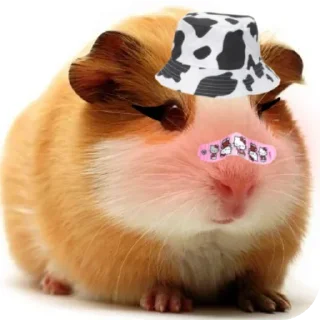 Стикер Больше стиков тут: @stikery4 - 5