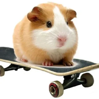 Стикер Больше стиков тут: @stikery4 - 11