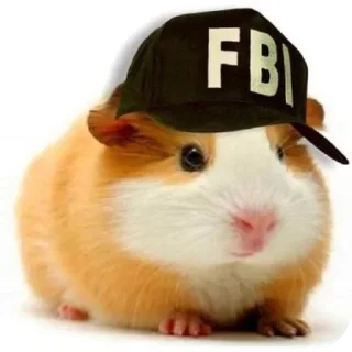 Стикер Больше стиков тут: @stikery4 - 6