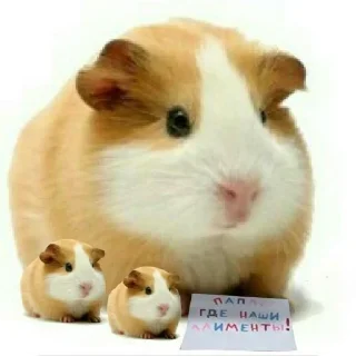 Стикер Больше стиков тут: @stikery4 - 0