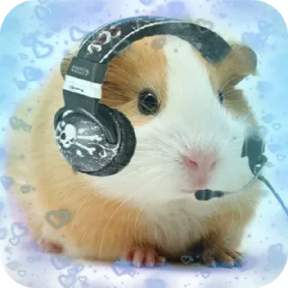 Стикер Больше стиков тут: @stikery4 - 4